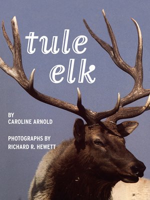 cover image of Tule Elk
